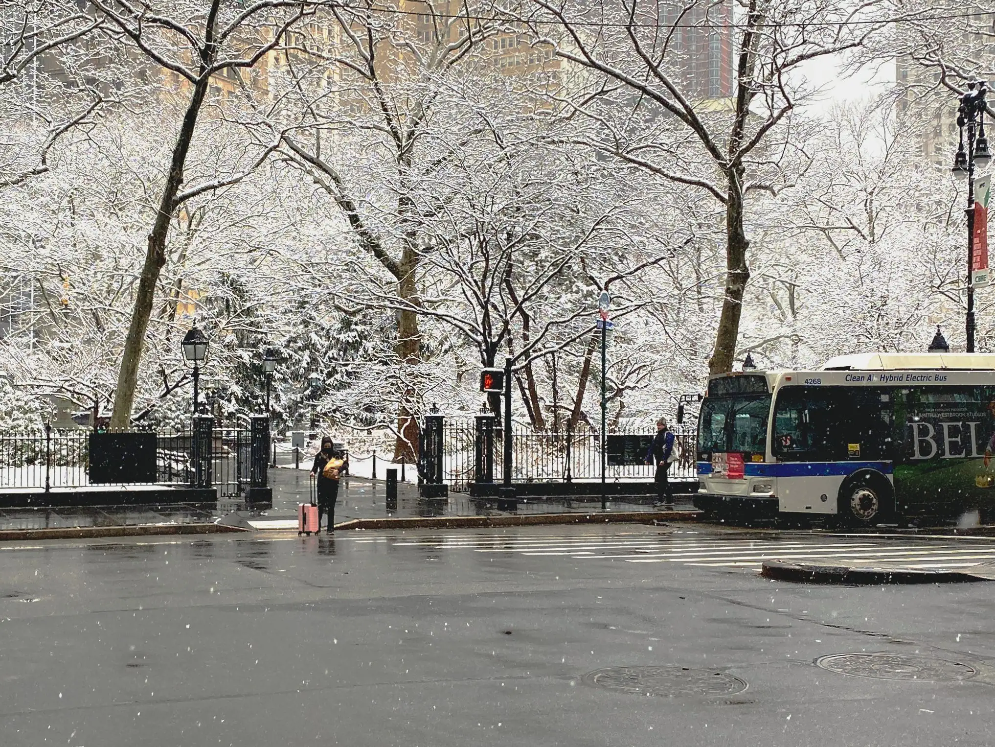 snow view of a park